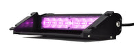 Strobes N More Dual Window Purple LED Light